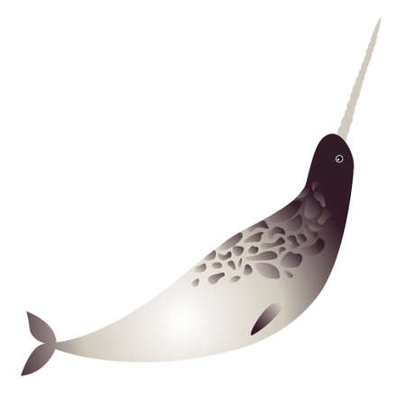 Narwhal on a white background. Simple color vector illustration.のイラスト素材