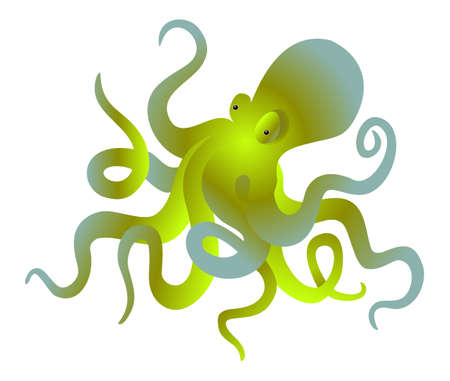 Green octopus on a white background. Colored vector illustration.のイラスト素材