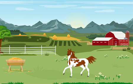 Vector illustration. Rural landscape panorama. A horse stands behind a wooden fence in a pasture with a farm, fields and mountains in the distanceのイラスト素材