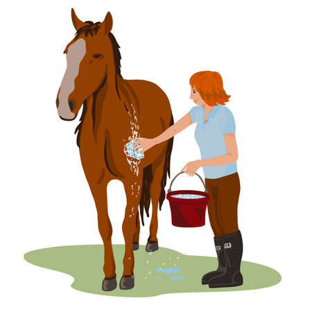 Young teenage girl rider washing her brown horse. Bright colorful summer time outdoors. Cartoon vector illustrtion. Work on a horse farmのイラスト素材