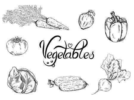 Vegetable hand drawn vintage frame illustration. Vegetables poster with hand drawn lettering. Vegetarian set of organic products. Detailed food drawing.のイラスト素材