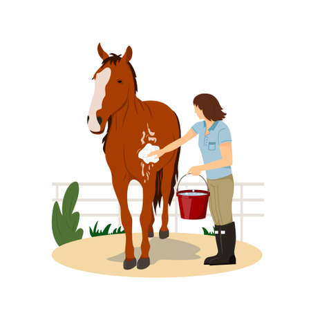 Girl washing horse. Pet care. Horse riding. Equestrian Sport. Isolated Vector Illustration on a flat style. Realistic image. Horse riding lessonsのイラスト素材