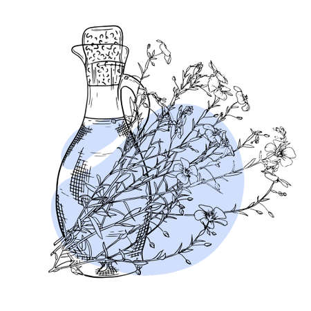 Flax flower hand drawn sketch. Bottle with flax essential oil. Cosmetic, perfumery, kitchen and medical plant. Vector illustration. Can be used for cosmetics, brochures, banners, labels.のイラスト素材