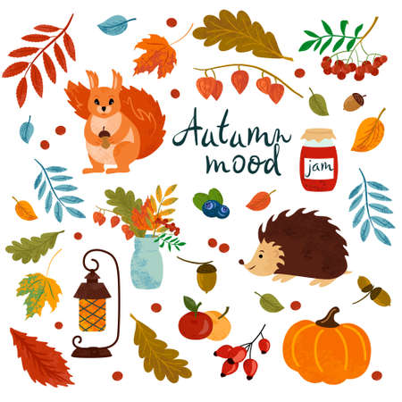Cartoon vector set of autumn icons: squirrel, hedgehog, pumpkin, falling leaves, cozy food, flashlight and jam. Lettering. Scrapbook elements. Bright background for harvesting.の写真素材