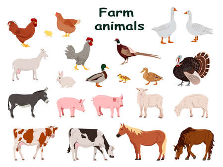 Big set of farm animals and domestic birds. Country pet. Isolated character on a white background. Vector illustration in a flat style.のイラスト素材