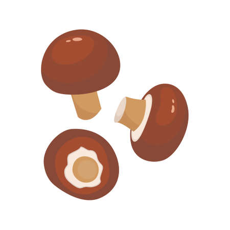 Royal Brown champignon isolated on white background. Champignon culinary ingredient design element. Omega source in cartoon style.のイラスト素材