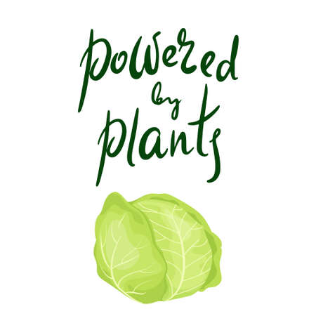 Inspirational Quote: Powered by plants. Healthy food. Hand lettering motivation illustration for your design with green vegetable cabbageのイラスト素材