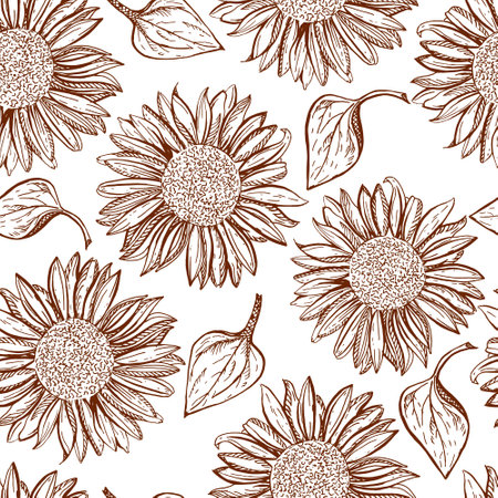 Vector seamless hand drawing pattern. The sunflower is drawn by hand. Contour brown sunflowers on a white background.のイラスト素材