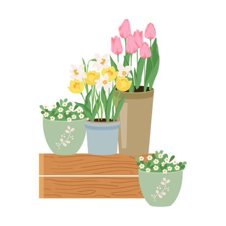 Early spring garden flowers in pots. Floral vector design elements for Happy womens day March 8, Valentines Day, birthday. Blooming pink tulips isolated on whiteのイラスト素材
