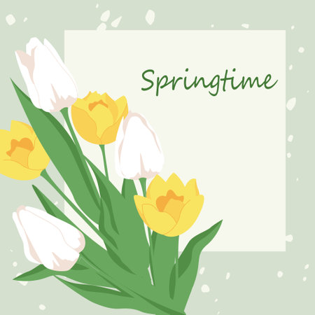 Floral square frame. Spring flowers white and yellow tulip. Flat style vector design, decoration for greeting card, social media posts, apps, invitations, advertising, Womens or Mothers dayのイラスト素材