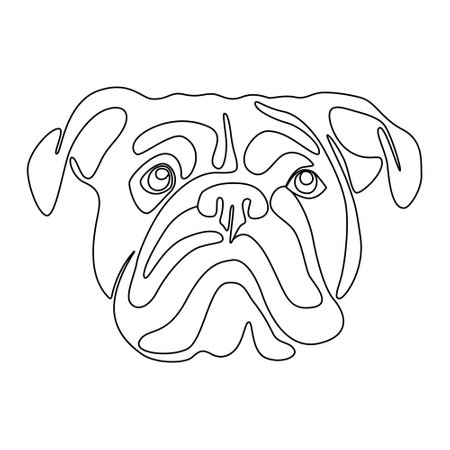 One continuous line drawing English bulldog vector Image. Single line minimal style dog breed portrait. Cute puppy black linear sketch isolated on white background. Graphic drawing.のイラスト素材