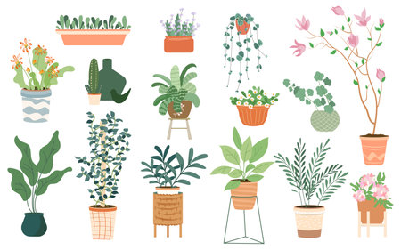 Trendy collection of cute home plants in flower pots of different shapes on stands pack. Set of different indoor houseplants in pots modern illustrations. Vector design elements isolated on white background.のイラスト素材
