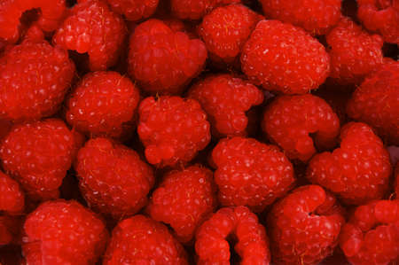 A large group of Raspberries