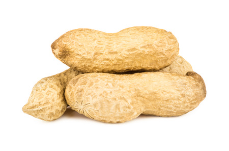 Roasted peanuts in shell isolated on white background