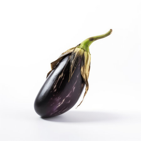 Eggplant isolated on a white background. perfect still life shotの素材