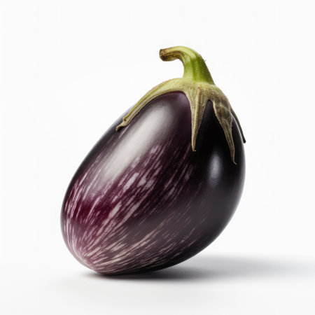 Eggplant isolated on white background. perfect still life shotの素材