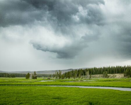 Green field just after a rain の写真素材