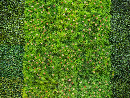 artificial grass with a red small flowers texture for backgroundの写真素材