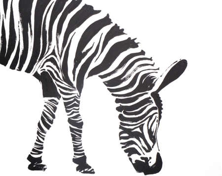 Zebra painting on a white backgroundの写真素材