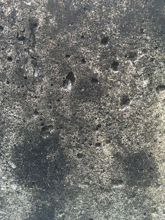 Mold  on wall background photoの写真素材