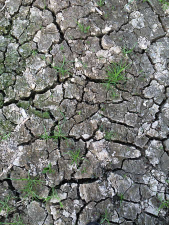 Close up dry cracked earth, global warmingの写真素材