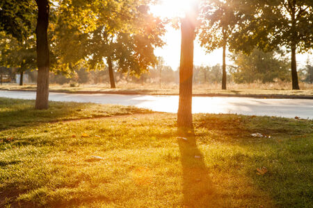 Warm september morning in city parkの写真素材