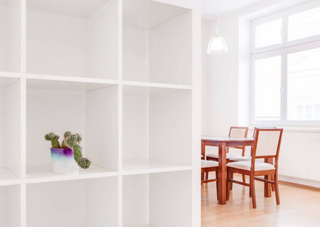 House interior white kitchen photo with cactus potの写真素材