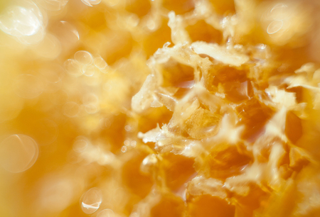 Liquid honey in the Honeycombの写真素材