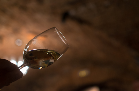 Sommelier enjoying the white wine color in the old wine cellarの写真素材