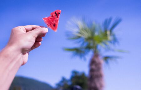Man's keeps the watermelon piece on the toothpick on the blue sky and palm tree backgroundの写真素材