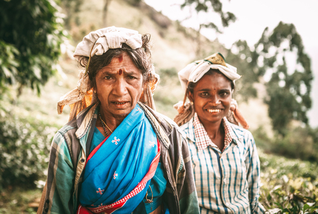 Ella, Sri Lanka - December 30, 2017: Old age female tea-picker picks up the fresh tea leaves in Ella town, Uva Province, Sri Lankaのeditorial素材
