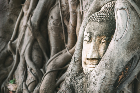Sand Buddha head in tree roots Buddha sculpture in the middle day sun light in ancient Ayutthaya, Thailand.の写真素材