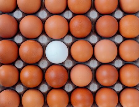 Egg tray top view with a rows of brown color eggs and one different white color egg in the center. Personal individuality or leadership concept image.の写真素材