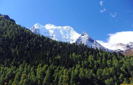 the mountain