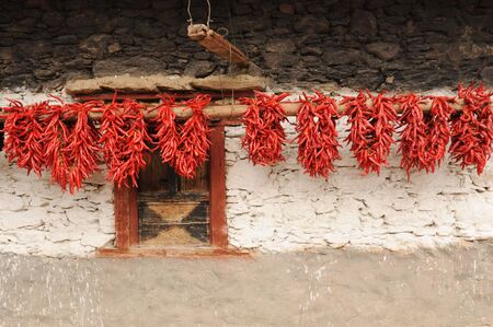 chiliesの写真素材