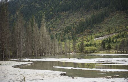 sceneryの写真素材