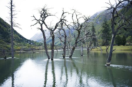 lake sceneryの写真素材