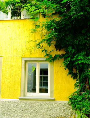 windowのeditorial素材