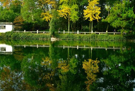 gardenの写真素材