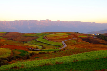 chinese red groundの写真素材