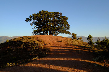 chinese red groundの写真素材