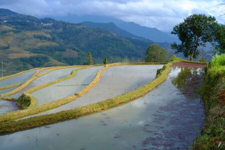  yun yang terrace scenicの写真素材