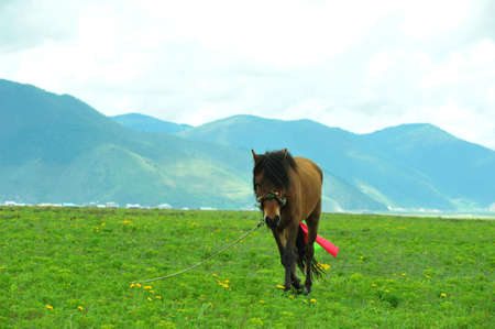 natue and sceneryの写真素材