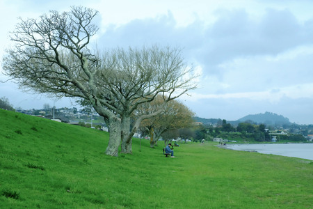 Taupo lakeのeditorial素材