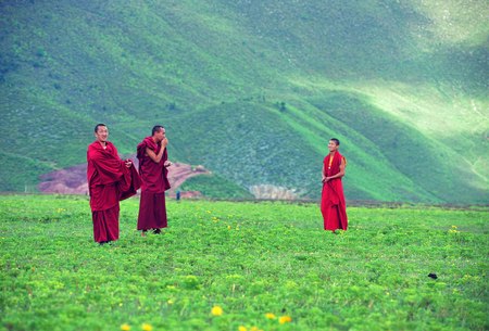 Tibetan monks on grasslandsのeditorial素材