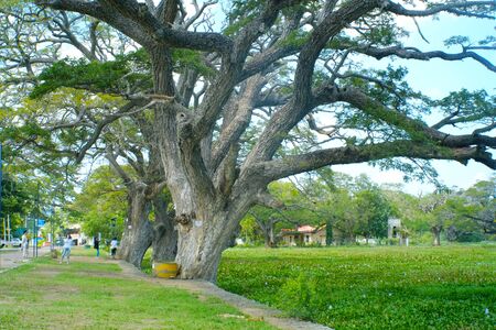 Sri Lanka landscapeのeditorial素材