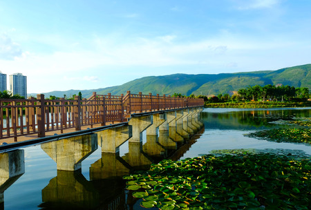 natural sceneryのeditorial素材