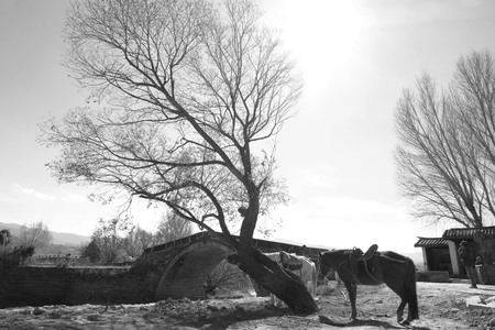 Yunnan landscape scenery viewのeditorial素材