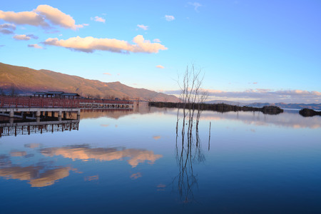 tree and lake landscape viewの写真素材