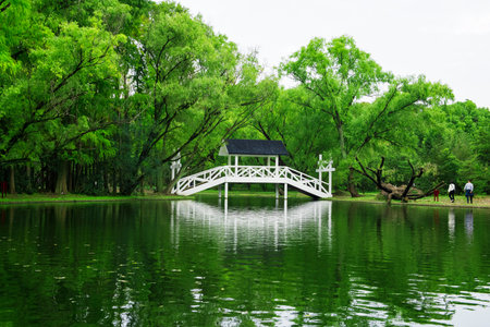 Hangzhou West Lake scenery in Shanghai